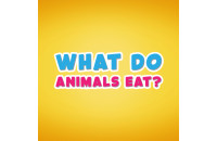 Play What do animals eat now!